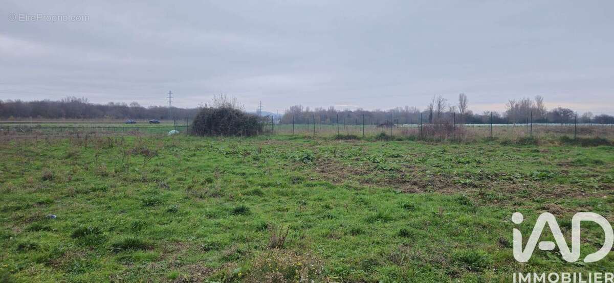 Photo 2 - Terrain à MURET