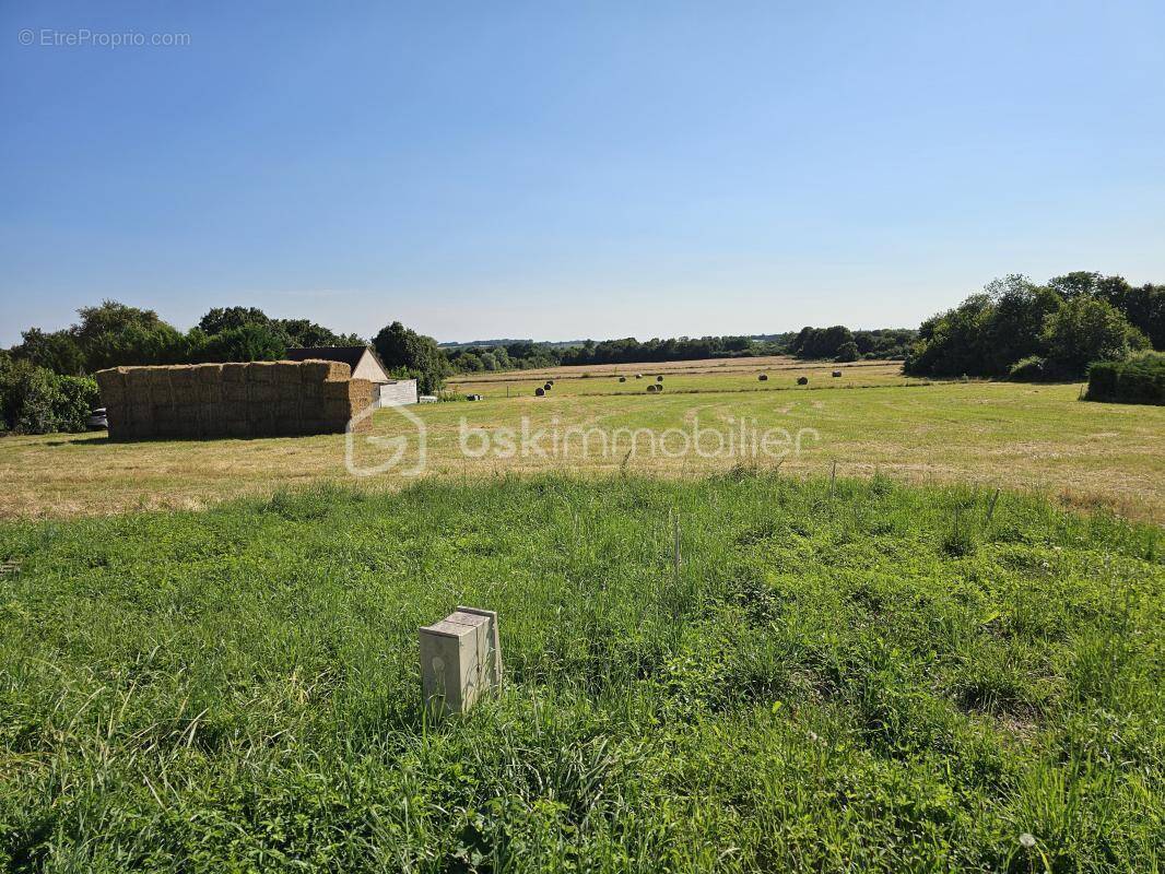 Terrain à LA GUERCHE-SUR-L'AUBOIS
