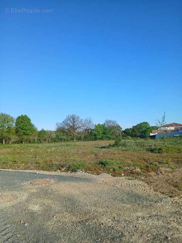 Terrain à DOMPIERRE-SUR-YON