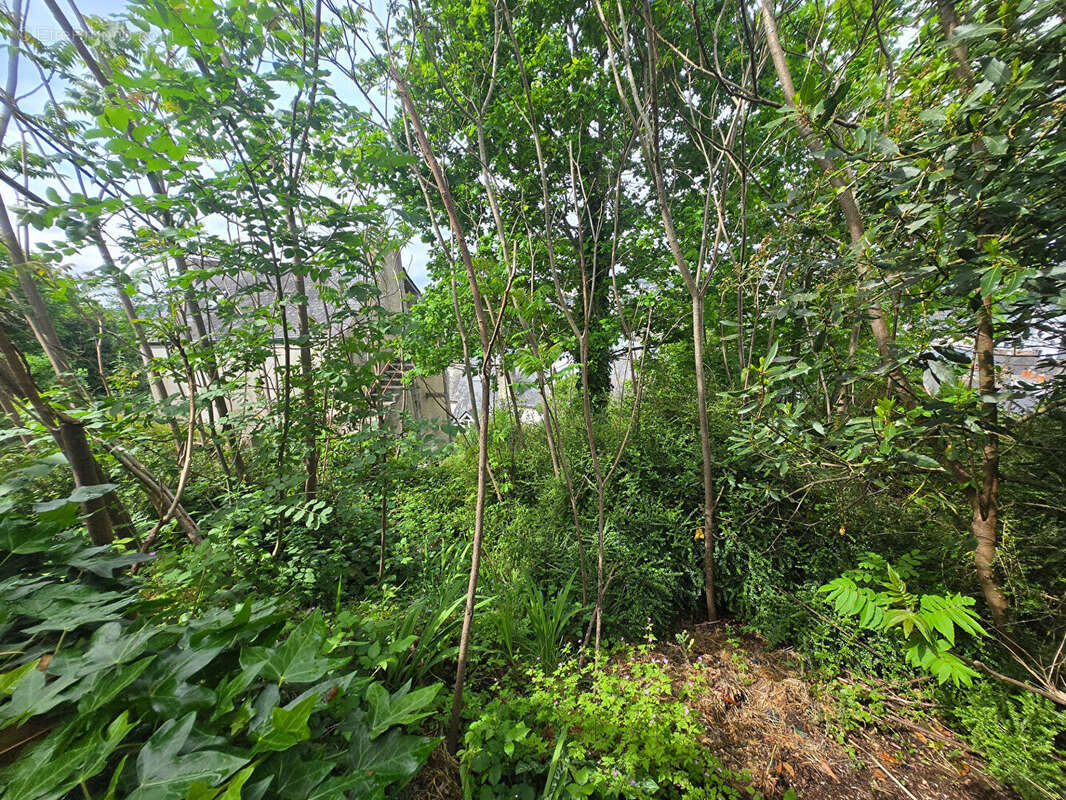 Terrain à vendre à Quimpe - photo 4