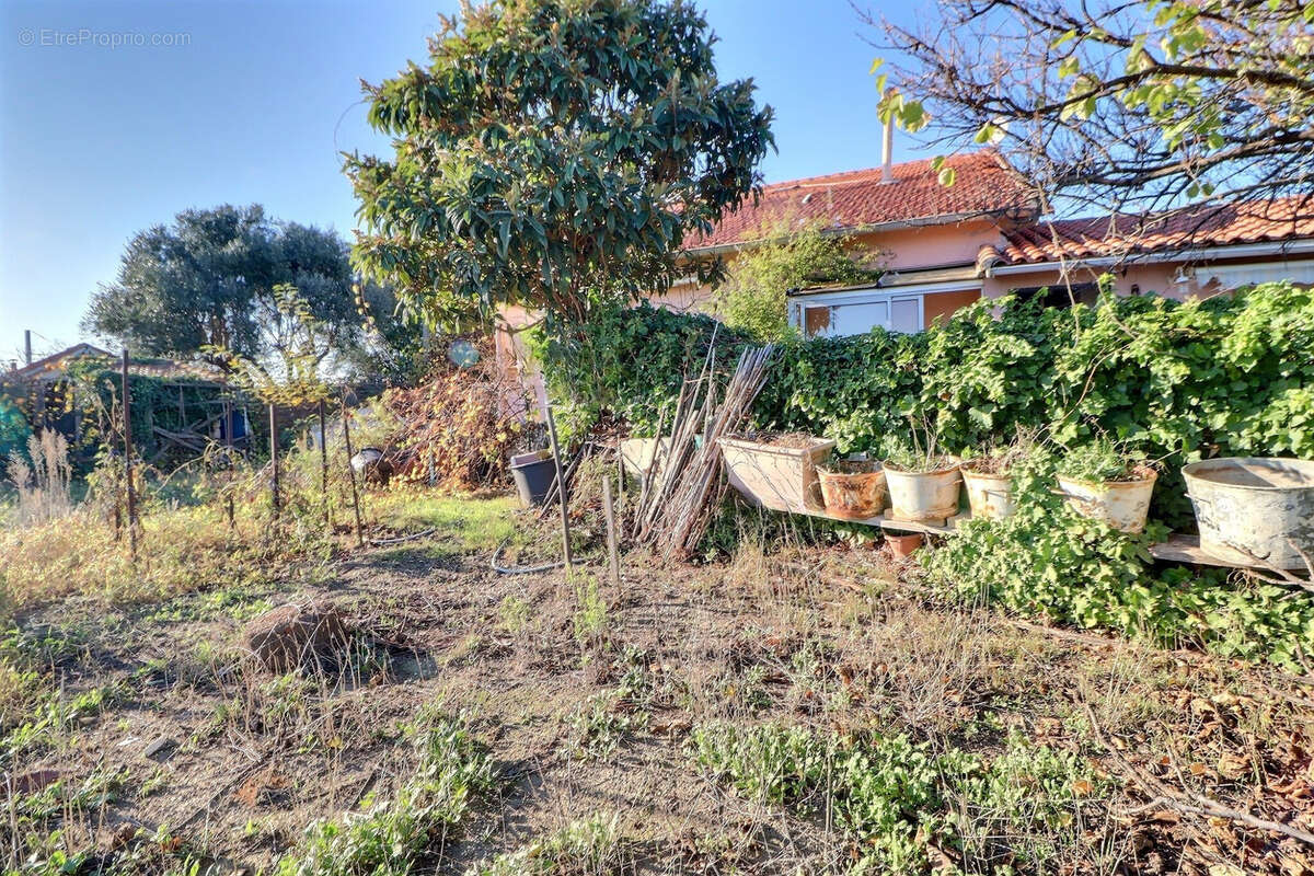 Maison à VILLENEUVE-LES-MAGUELONE