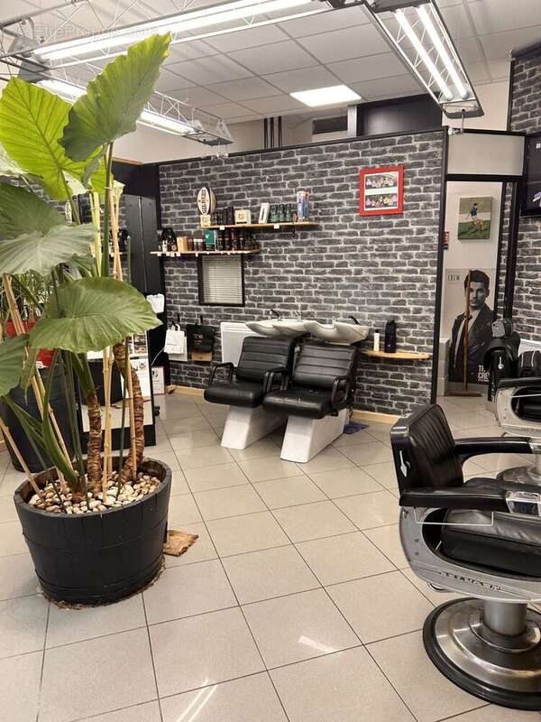 SALON5 - Commerce à CAHORS