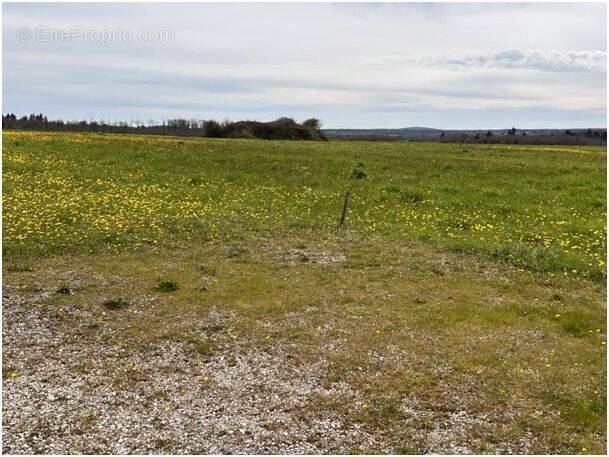 Terrain à SAINT-ANGEAU