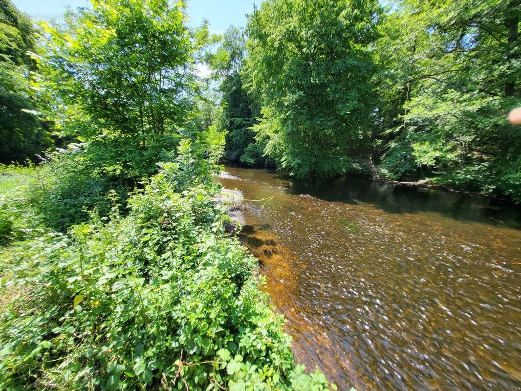 Maison à LE PECHEREAU