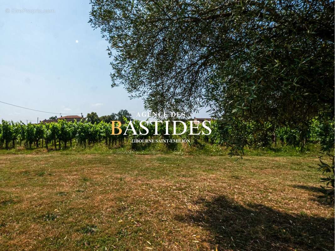 Propriété familiale et son petit vignoble d'appelation - photo 5