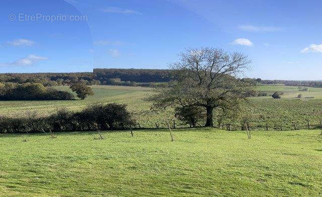 Maison à MONTMIRAIL