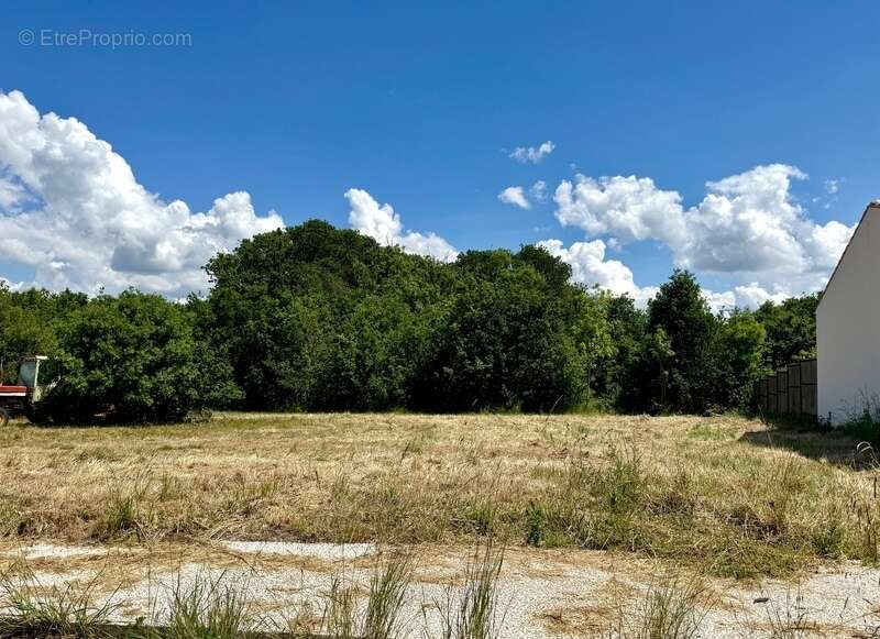 Terrain à FOURAS