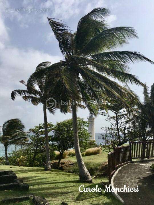 Terrain à VIEUX-FORT