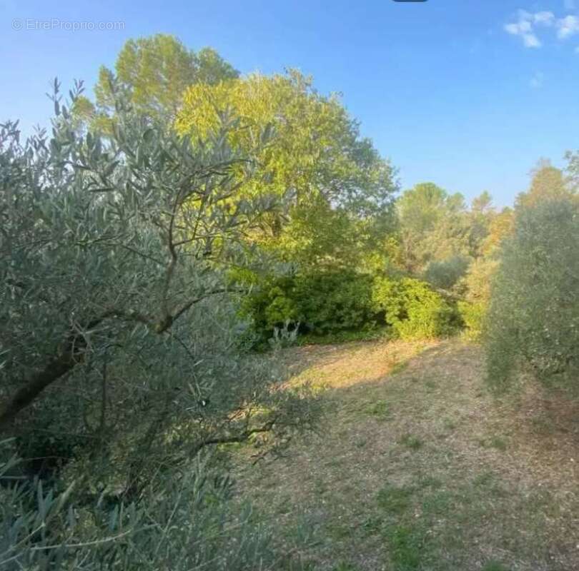 Terrain 1160 m² à Carces  - photo 3