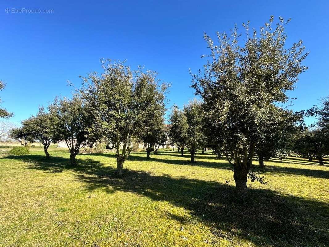 Maison 120 m² à Noyant-De-Touraine  - photo 4
