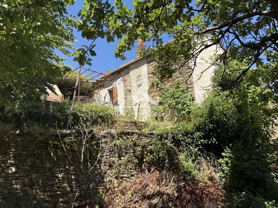 Maison à SAINT-PRIVAT-DE-VALLONGUE