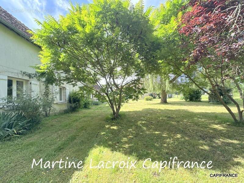 Dpt SARTHE (72), à vendre AVEZÉ - PROPRIÉTÉ  P8 de 166 m² - Terrain de 1H500 - photo 9