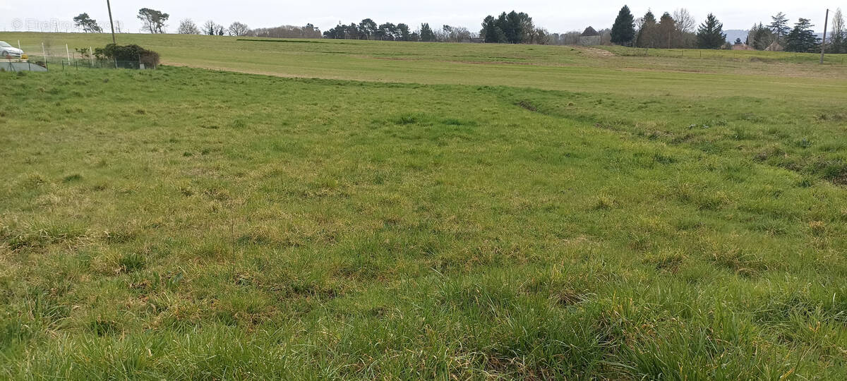 Terrain à SAINT-VIANCE