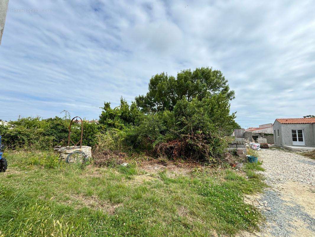 Terrain à SAINT-GEORGES-D&#039;OLERON