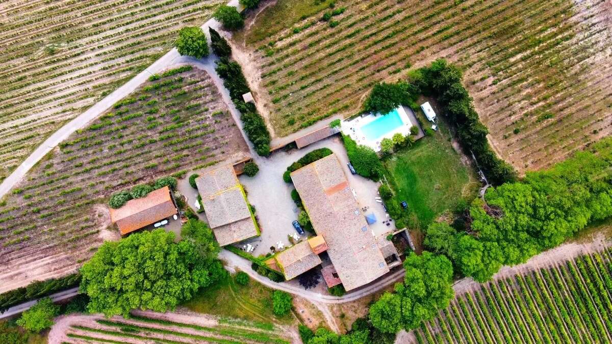 Domaine avec vignes et gîtes - photo 8