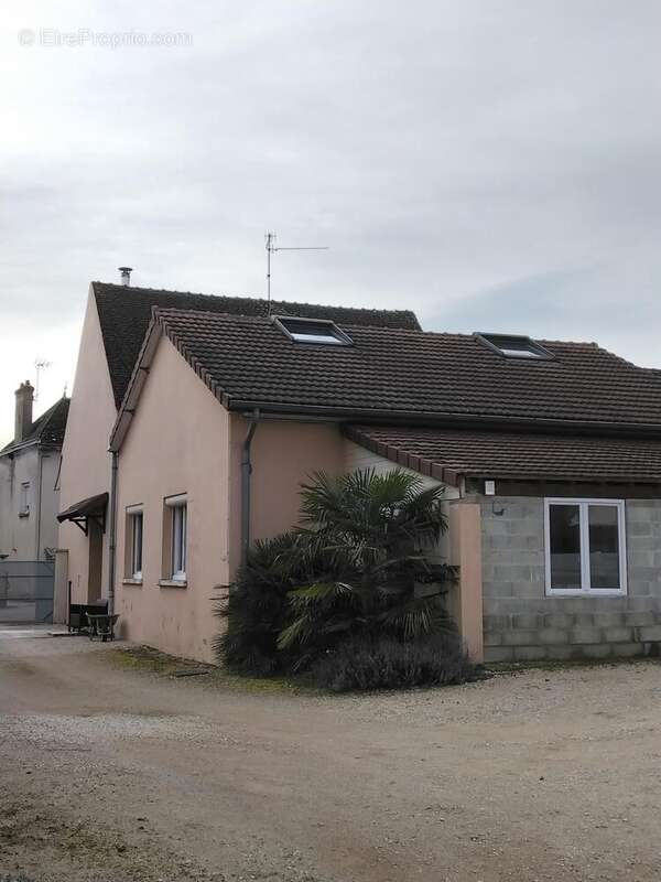 Photo 7 - Maison à EPERVANS