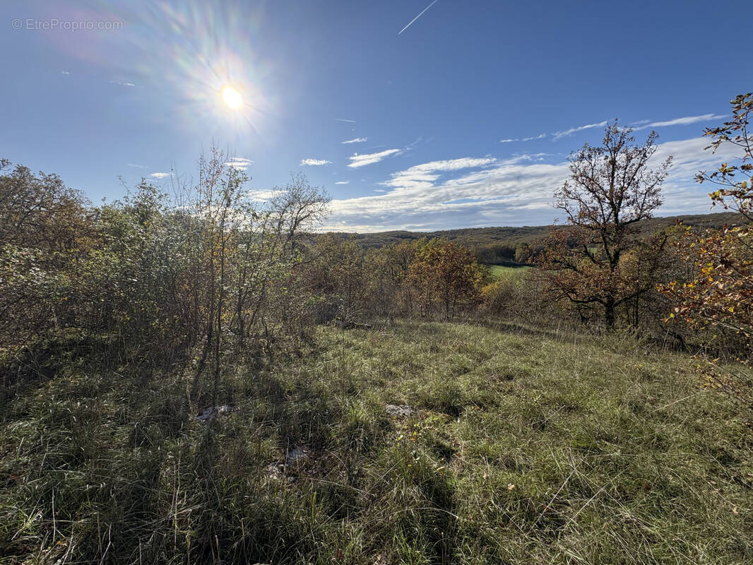 Terrain à CHASTEAUX