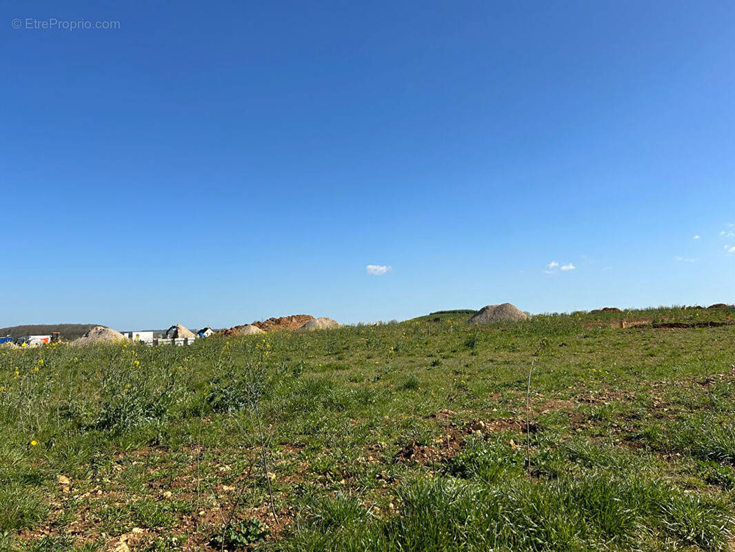 Maison à CLINCHAMPS-SUR-ORNE