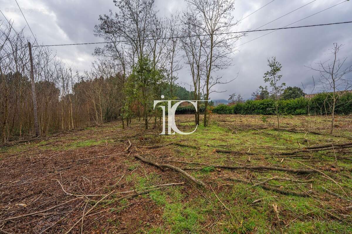 Terrain à CHAMBONAS