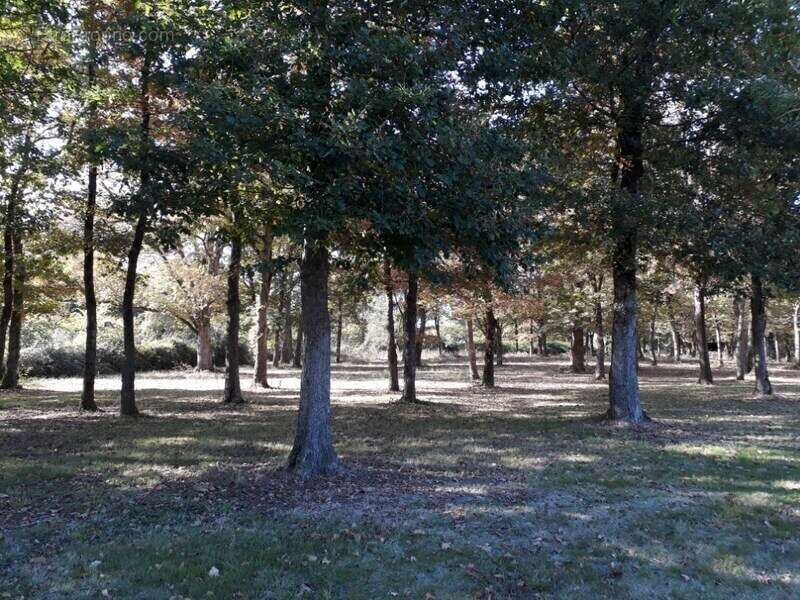 Maison à AIRE-SUR-L&#039;ADOUR