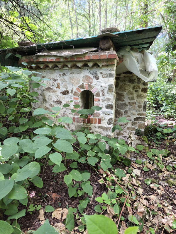 propriété à terminer de rénover avec 11ha de taillis - photo 10