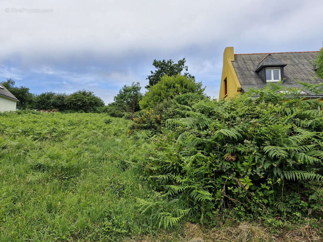 Maison à ROSCANVEL