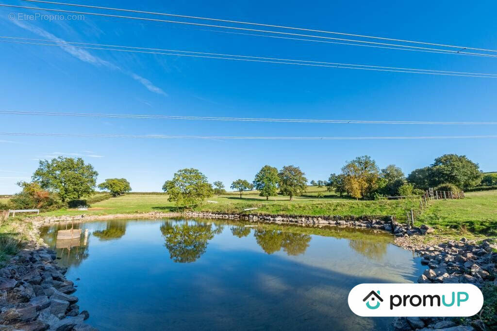 Terrain à SAINT-LAURENT-D'ANDENAY