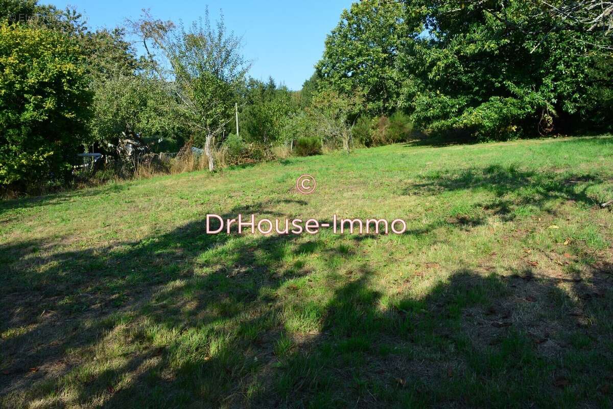 Terrain à BUSSIERE-GALANT
