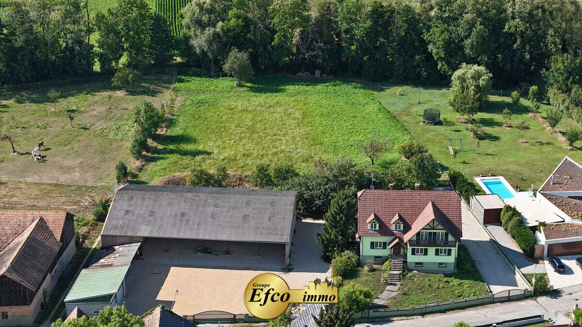 Maison à WAHLBACH