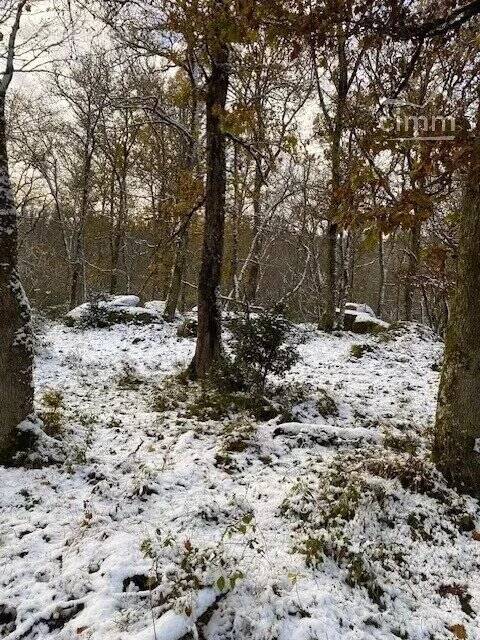Terrain à SAINT-GERMAIN-DE-MODEON