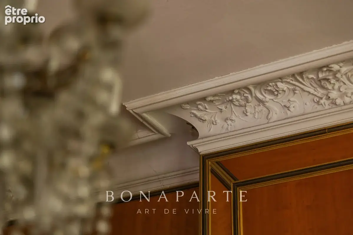 LE BOUSCAT – Magnifique demeure bourgeoise de 480 m² à réinventer, potentiel exceptionnel - photo 8