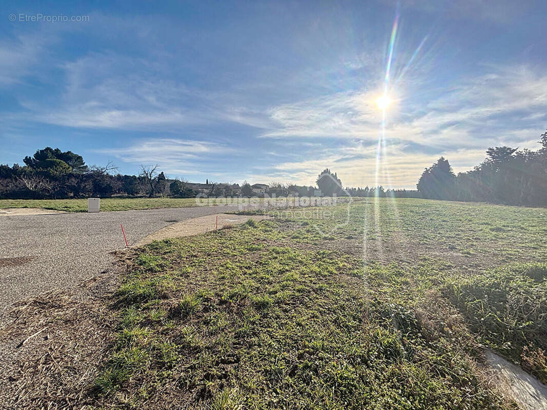 Terrain à L&#039;ISLE-SUR-LA-SORGUE