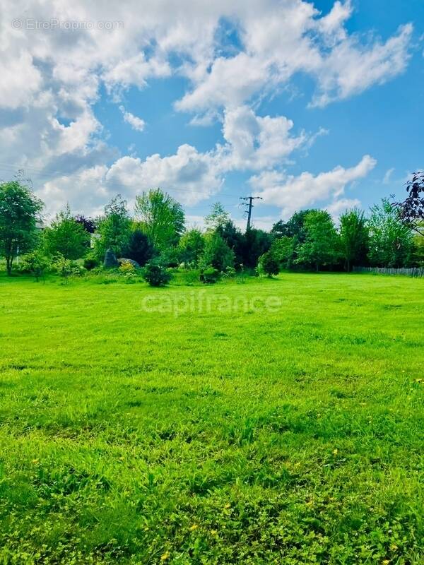 Terrain à LE TREHOU