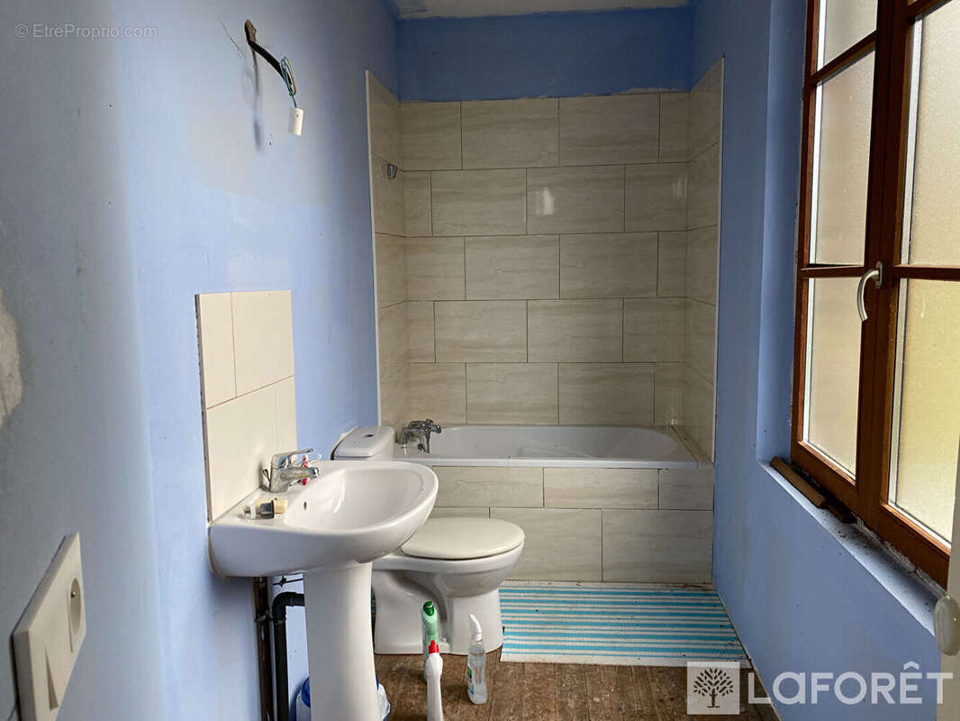 Propriété  sur 8 hect de bois - photo 10