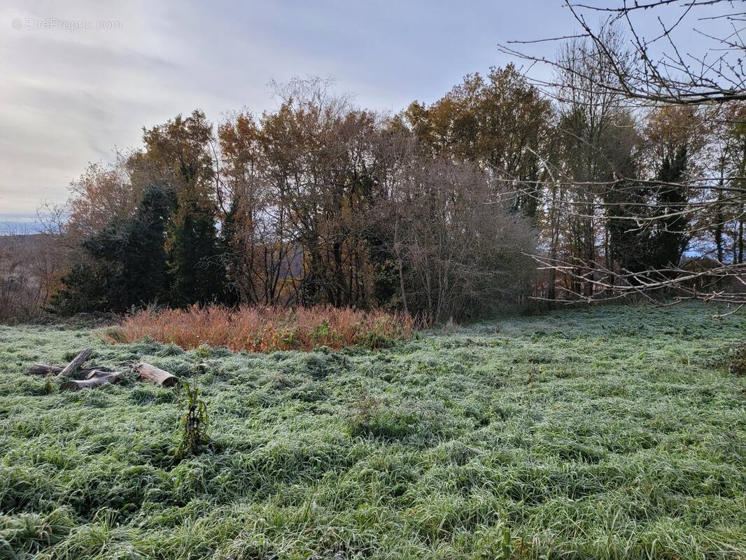 Terrain à SAINT-LEONARD-DE-NOBLAT