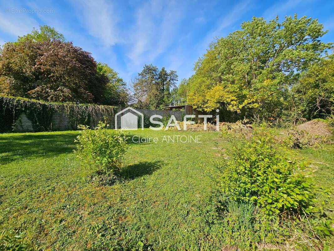 Photo 5 - Terrain à MORET-SUR-LOING