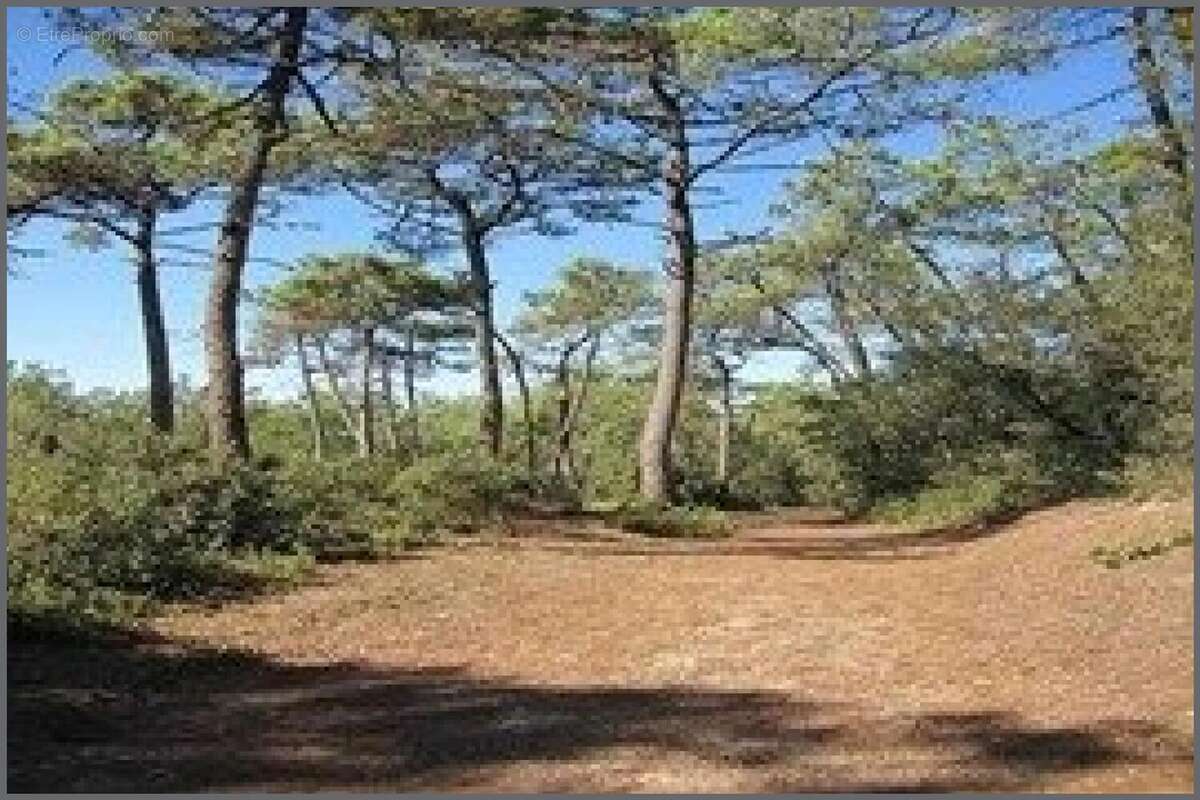 Photo 2 - Commerce à LES SABLES-D'OLONNE