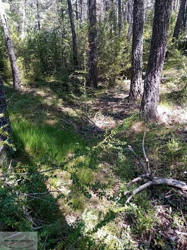 Terrain à GREOLIERES