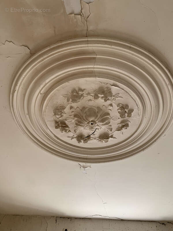 Maison à SAINT-JEAN-LE-THOMAS