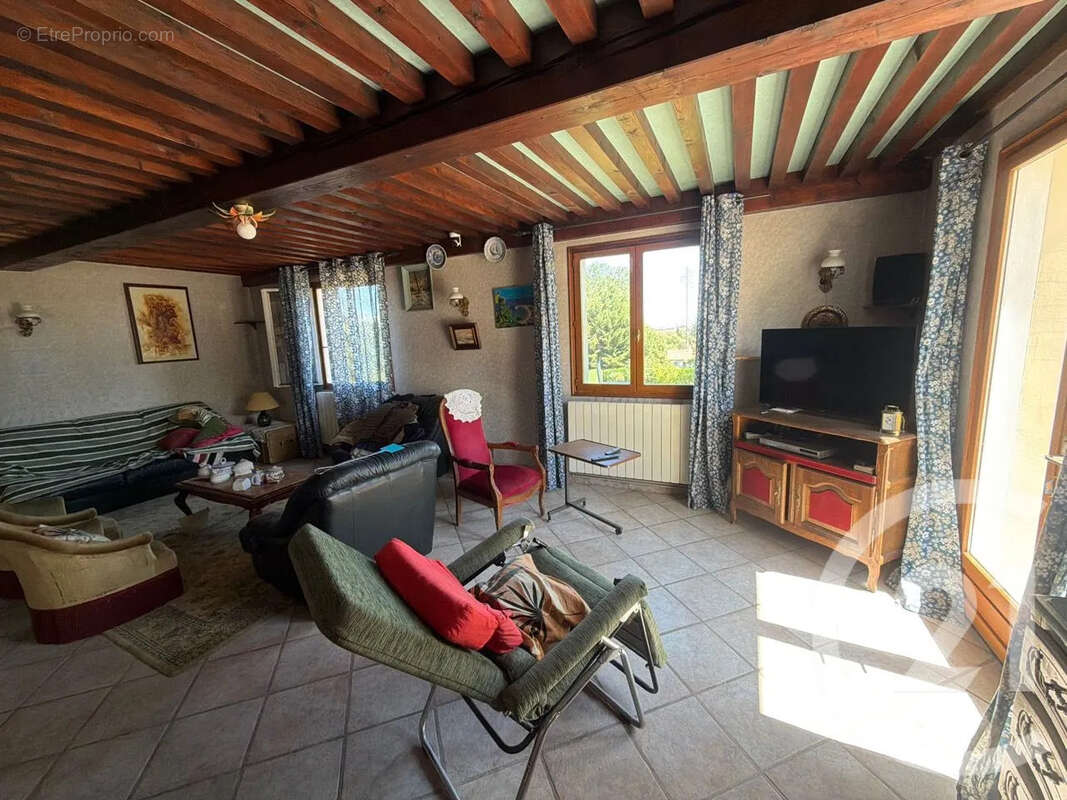 Maison 163 m² à Peaugres  - photo 7