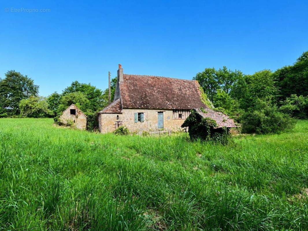Maison du XVe siècle – 1 ha – Calme absolu – 10 min du Mans - photo 2