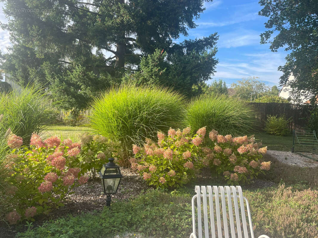 Maison à SAINT-PRYVE-SAINT-MESMIN