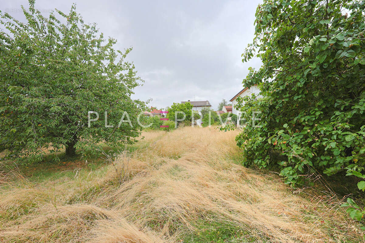 Terrain à VILLERS-LES-NANCY