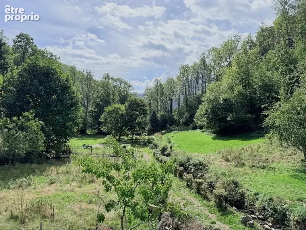 Bergerie de montagne habitable – Vallon préservé, ruisseau et vue forêt - photo 4