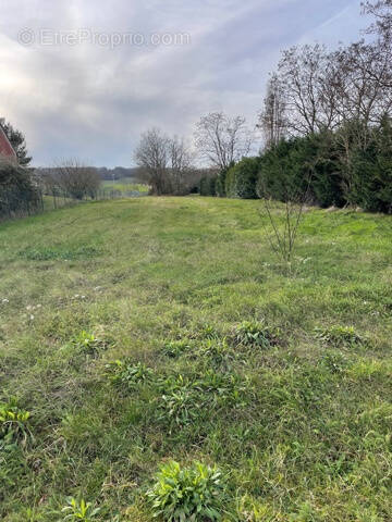 Terrain à SURY-PRES-LERE