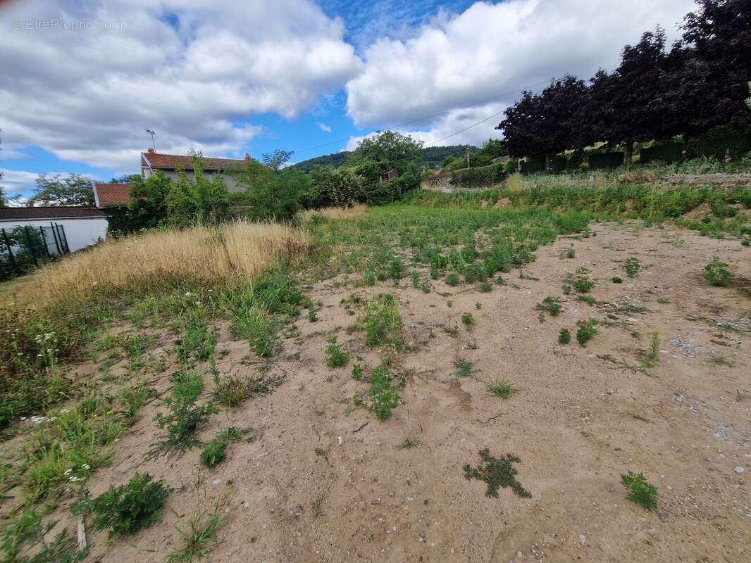 Photo 2 - Terrain à SAINT-ALBAN-D'AY