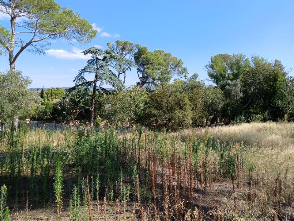 Terrain à COURNONTERRAL