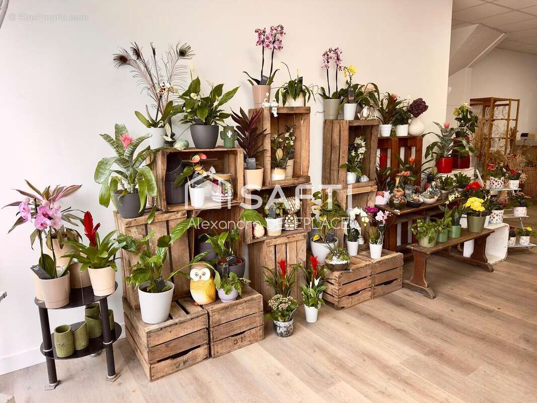 Photo 4 - Commerce à RIAILLE