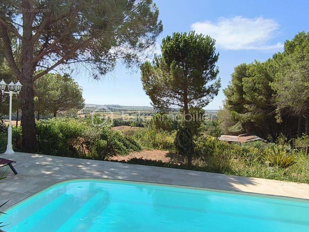 Domaine de 2 hectares - photo 4