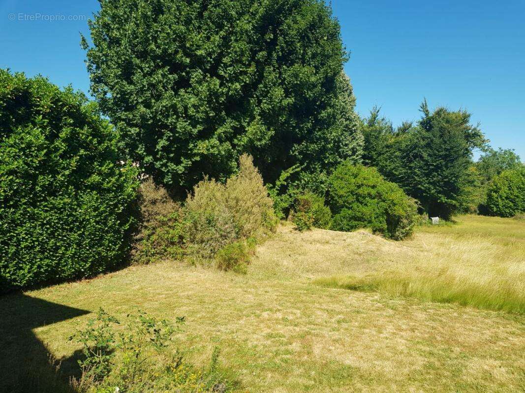 Terrain 1200 m² à Genas  - photo 3